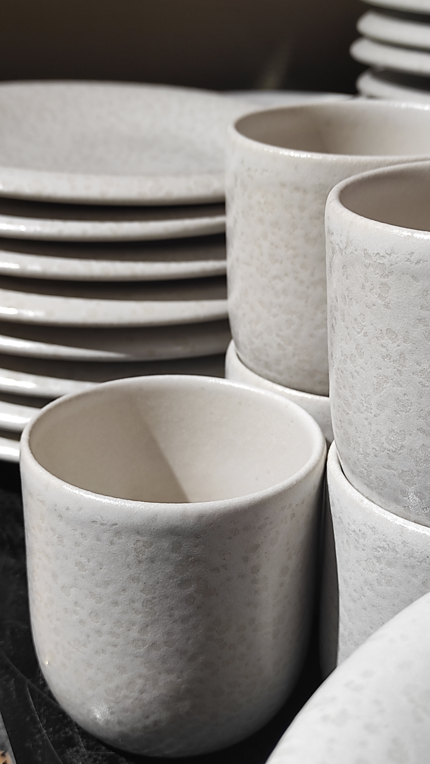 collection ALTA